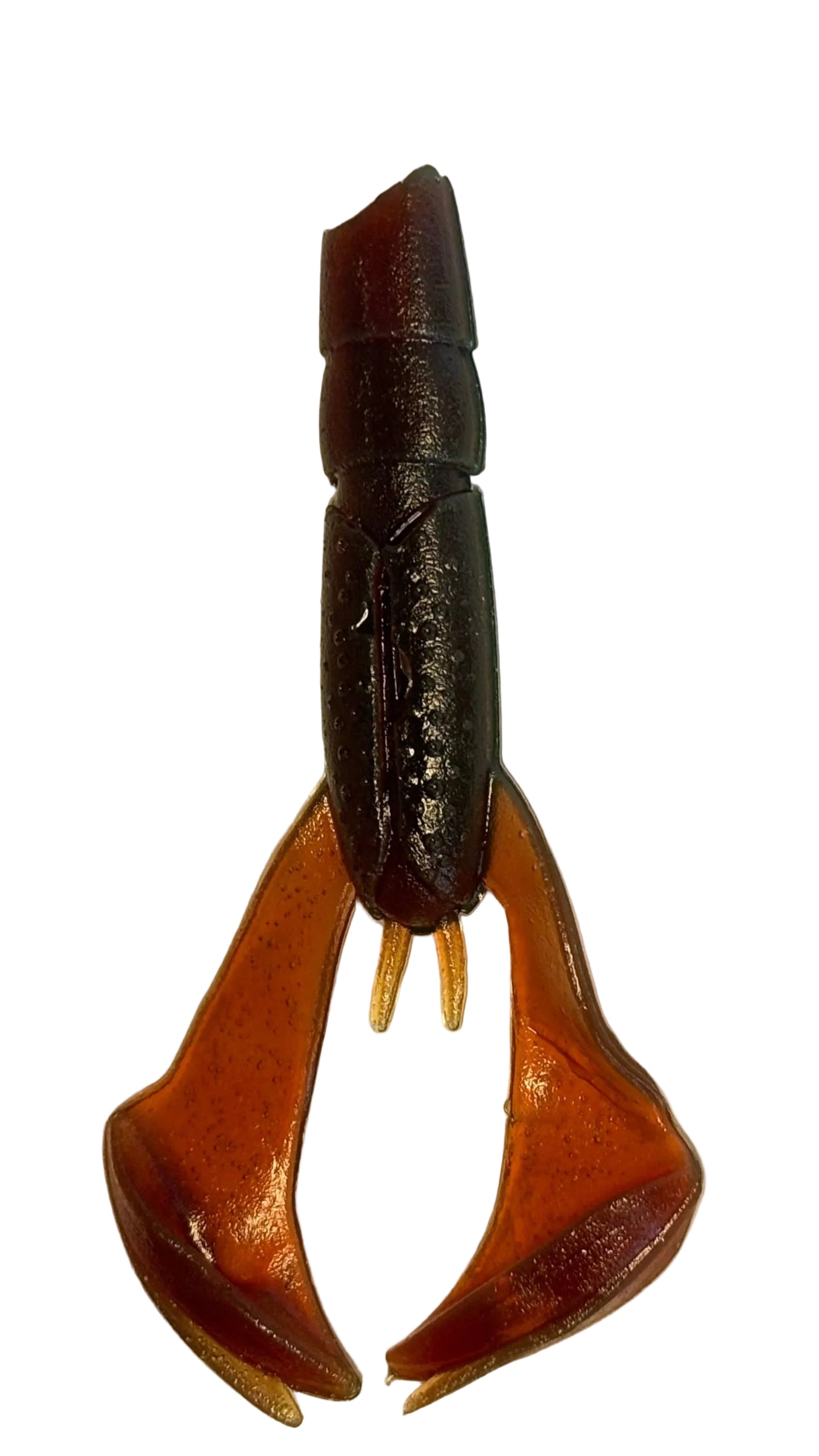 Motor Oil Craw