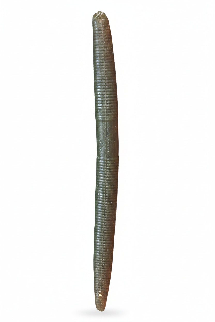 Motor Oil Senko - 5"